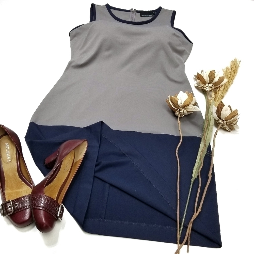 Cynthia Rowley Anthropologie Grey Blue Color Block Dress L - Picture 2 of 8